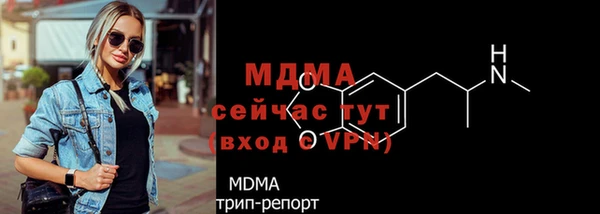 сатива Коряжма