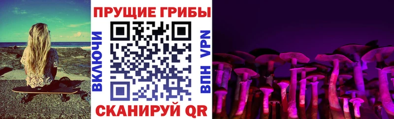 Галлюциногенные грибы GOLDEN TEACHER  как найти   Лабинск 